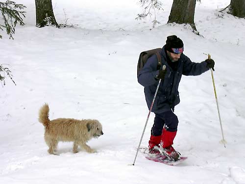 cliquez ici pour fermer la fenêtre