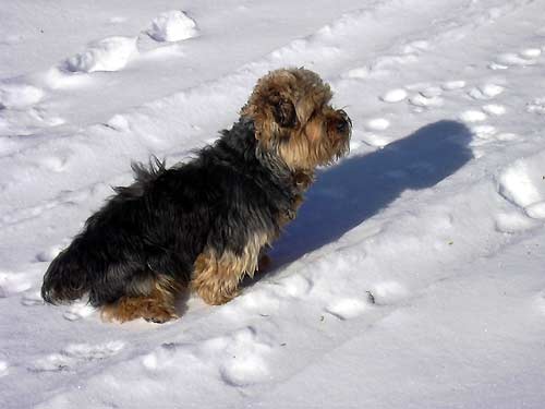 cliquez ici pour fermer la fenêtre